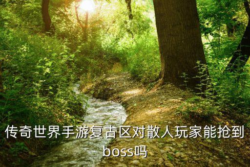 传奇世界手游复古区对散人玩家能抢到boss吗