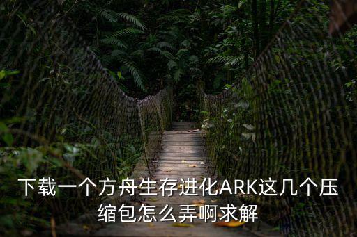 下载一个方舟生存进化ARK这几个压缩包怎么弄啊求解