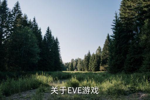 关于EVE游戏