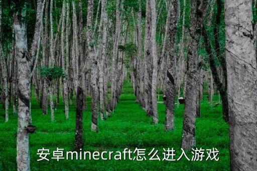 安卓minecraft怎么进入游戏