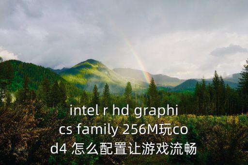 intel r hd graphics family 256M玩cod4 怎么配置让游戏流畅