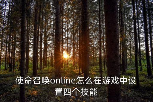 使命召唤online怎么在游戏中设置四个技能