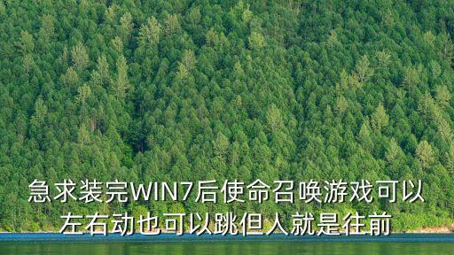 急求装完WIN7后使命召唤游戏可以左右动也可以跳但人就是往前