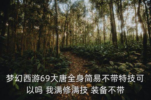 梦幻西游69大唐全身简易不带特技可以吗 我满修满技 装备不带