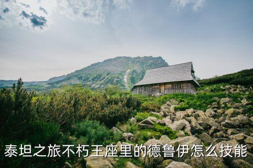 泰坦之旅不朽王座里的德鲁伊怎么技能