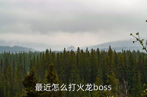 最近怎么打火龙boss