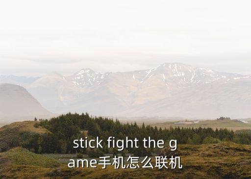 stick fight the game手机怎么联机