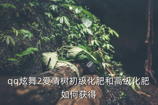 qq炫舞2爱情树初级化肥和高级化肥如何获得