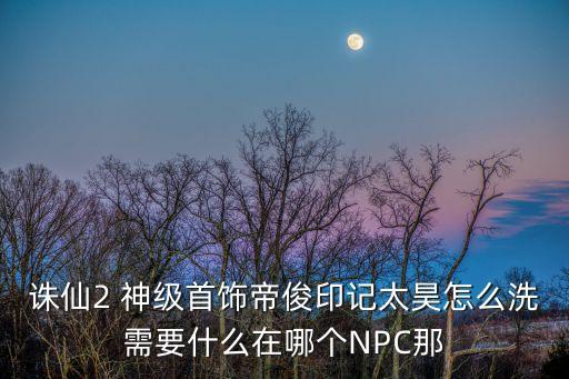 诛仙2 神级首饰帝俊印记太昊怎么洗需要什么在哪个NPC那