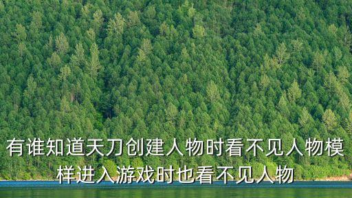 有谁知道天刀创建人物时看不见人物模样进入游戏时也看不见人物