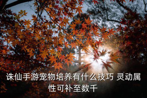 诛仙手游萌宝怎么养成的，诛仙宝宝怎么养