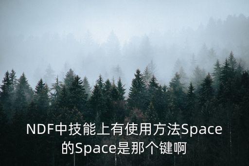 NDF中技能上有使用方法Space的Space是那个键啊