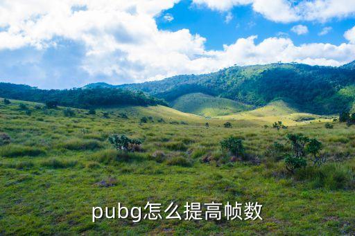 pubg怎么提高帧数