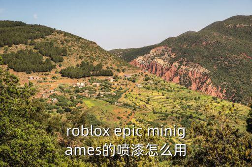 roblox epic minigames的喷漆怎么用