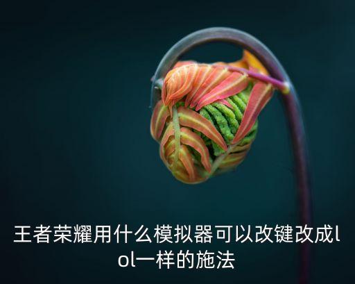 王者荣耀用什么模拟器可以改键改成lol一样的施法