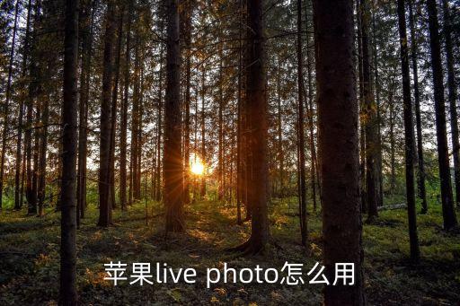 苹果live photo怎么用