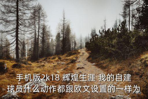 手机版2k18 辉煌生涯 我的自建球员什么动作都跟欧文设置的一样为