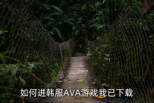 如何进韩服AVA游戏我已下载