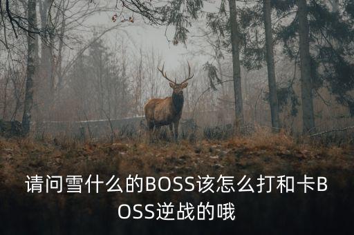 请问雪什么的BOSS该怎么打和卡BOSS逆战的哦