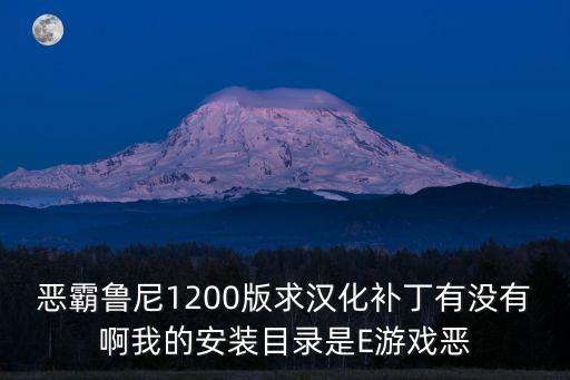 恶霸鲁尼1200版求汉化补丁有没有啊我的安装目录是E游戏恶