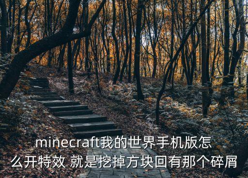 minecraft我的世界手机版怎么开特效 就是挖掉方块回有那个碎屑