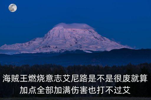 海贼王燃烧意志艾尼路是不是很废就算加点全部加满伤害也打不过艾