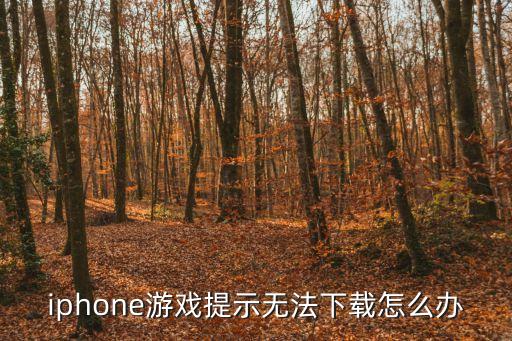 iphone游戏提示无法下载怎么办