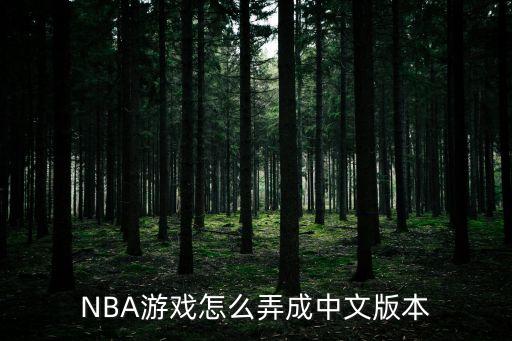 NBA游戏怎么弄成中文版本