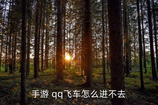 手游 qq飞车怎么进不去