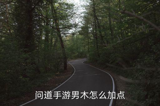 问道手游男木怎么加点