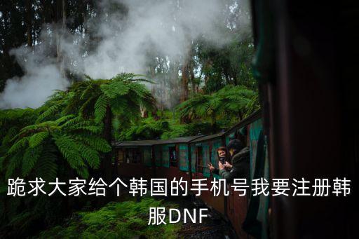 跪求大家给个韩国的手机号我要注册韩服DNF