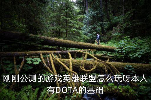 刚刚公测的游戏英雄联盟怎么玩呀本人有DOTA的基础