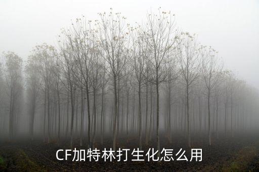 CF加特林打生化怎么用