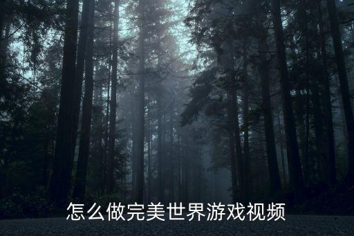 怎么做完美世界游戏视频