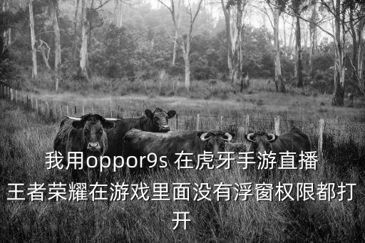 我用oppor9s 在虎牙手游直播王者荣耀在游戏里面没有浮窗权限都打开