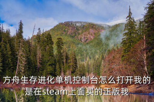 方舟生存进化单机控制台怎么打开我的是在steam上面买的正版我