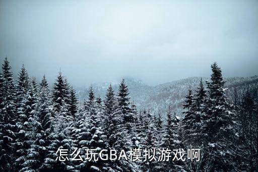 怎么玩GBA模拟游戏啊