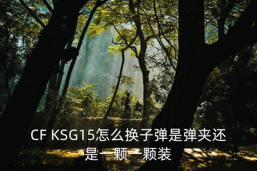 CF KSG15怎么换子弹是弹夹还是一颗一颗装