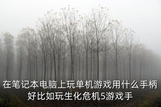 在笔记本电脑上玩单机游戏用什么手柄好比如玩生化危机5游戏手