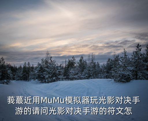 莪蕞近用MuMu模拟器玩光影对决手游的请问光影对决手游的符文怎