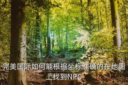 完美国际如何能根据坐标准确的在地图上找到NPC