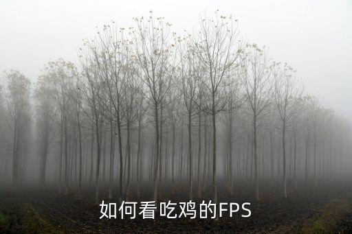 如何看吃鸡的FPS