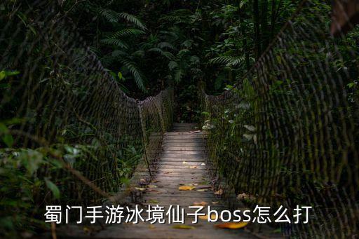 蜀门手游冰境仙子boss怎么打