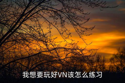 我想要玩好VN该怎么练习