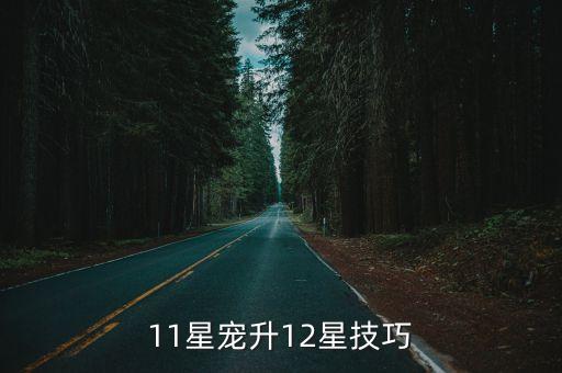 11星宠升12星技巧