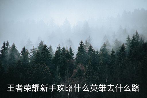 王者荣耀新手攻略什么英雄去什么路