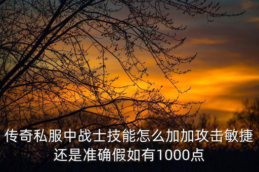 传奇私服中战士技能怎么加加攻击敏捷还是准确假如有1000点