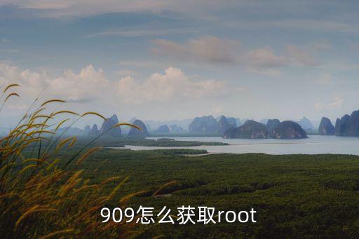 909怎么获取root