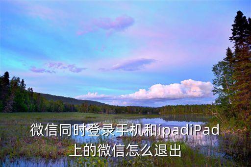 微信同时登录手机和ipadiPad上的微信怎么退出