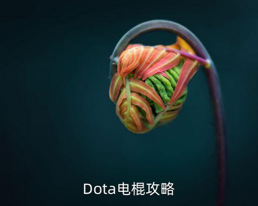 Dota电棍攻略